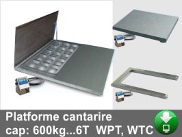 Platforme forex in limba romana